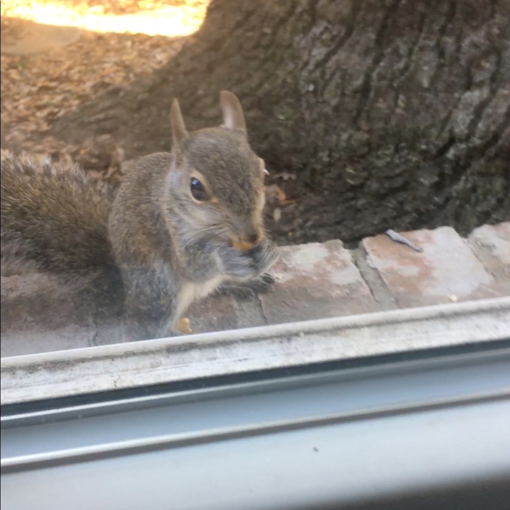 Meet your Posher, Ally & Brian